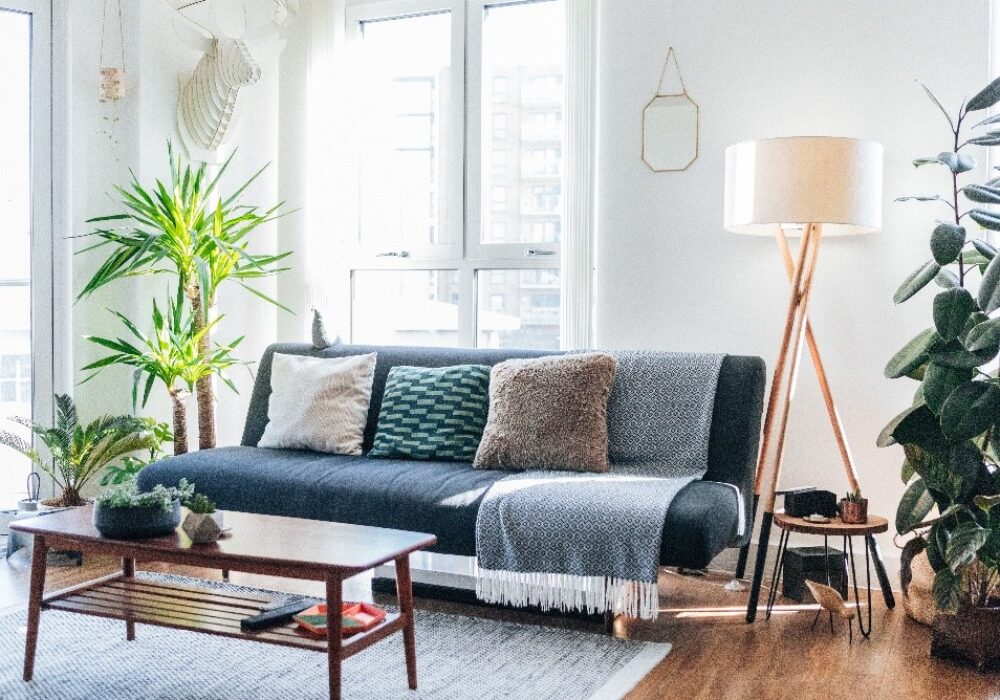 A Guide for First-Time Furniture Buyers
